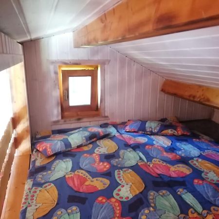 Kleines Studio Im Eichenwaeldchen, 1 Zimmer Kueche Bad Friedrichsgrun Eksteriør billede