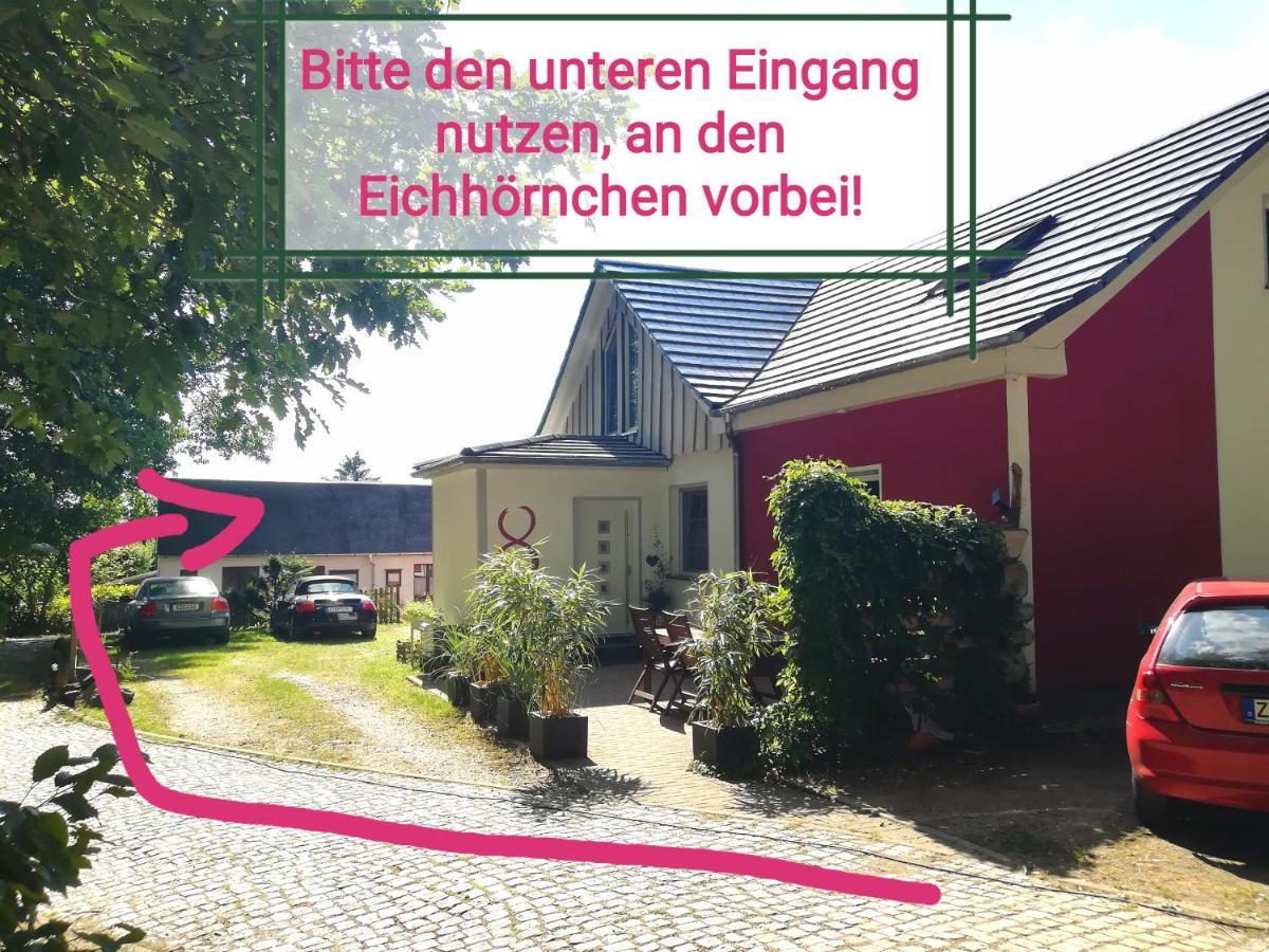 Kleines Studio Im Eichenwaeldchen, 1 Zimmer Kueche Bad Friedrichsgrun Eksteriør billede